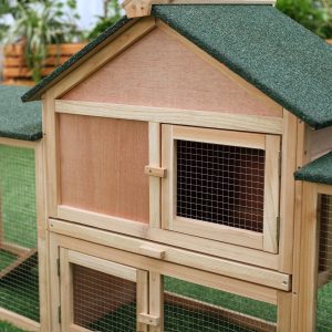 Hutches and Outside Housing